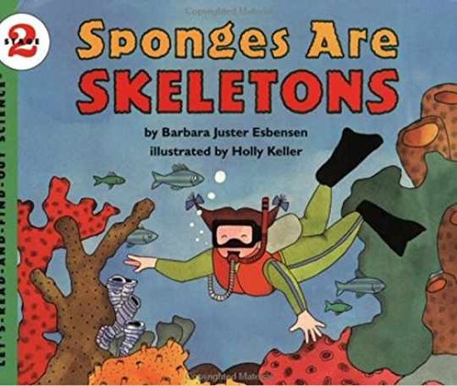 Sponges are skeletons - skeletons,